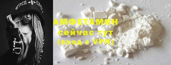 гидра Алексеевка