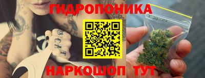эйфоретик Краснодар