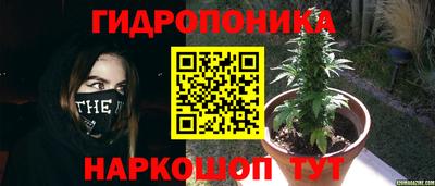 эйфоретик Краснодар