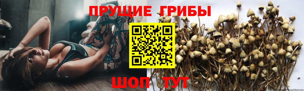 Галлюциногенные грибы мицелий Сыктывкар