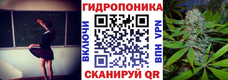 hydra ссылки  Сыктывкар  Каннабис индика 